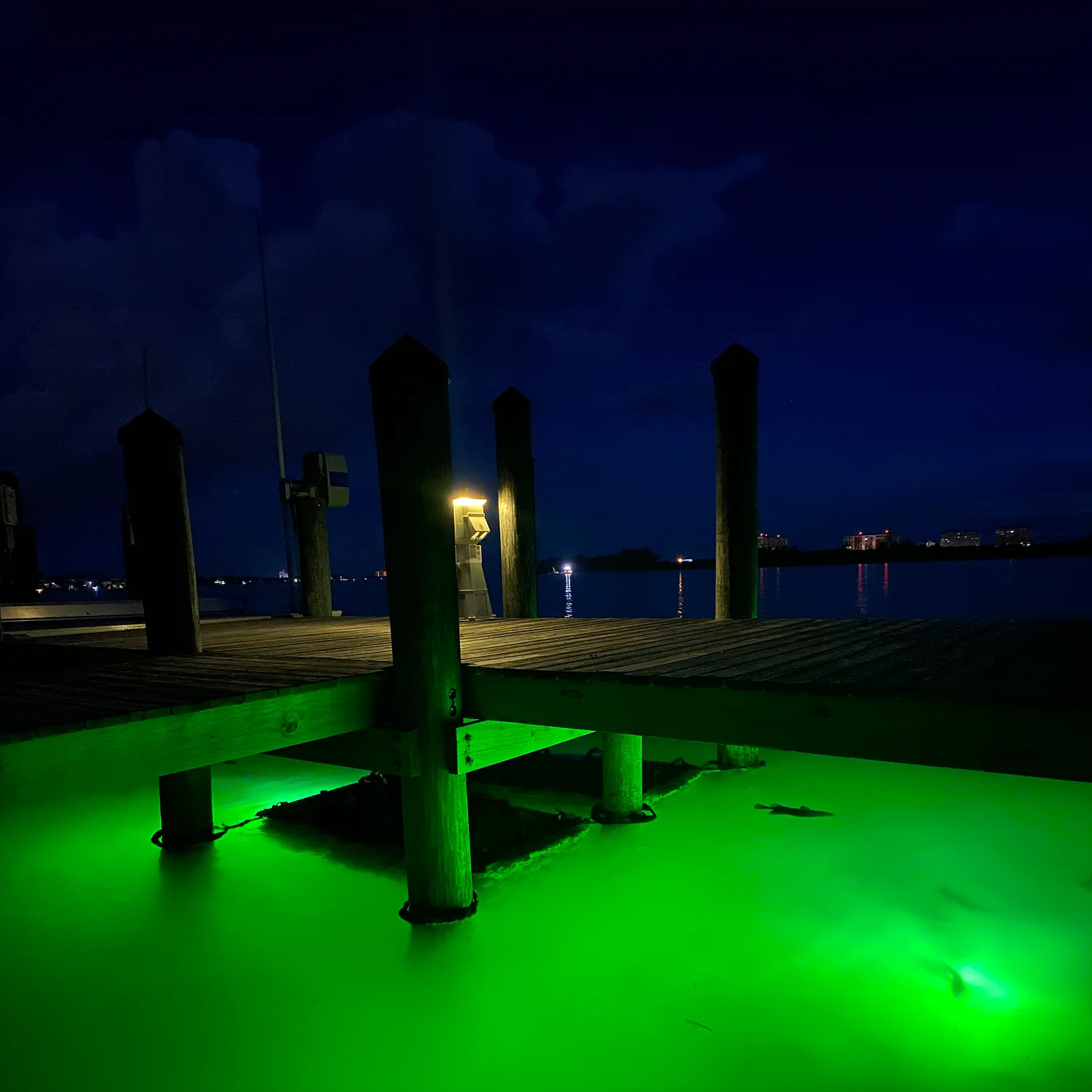 A dock at night lit green by underwater lighting, drawing fish to the surface